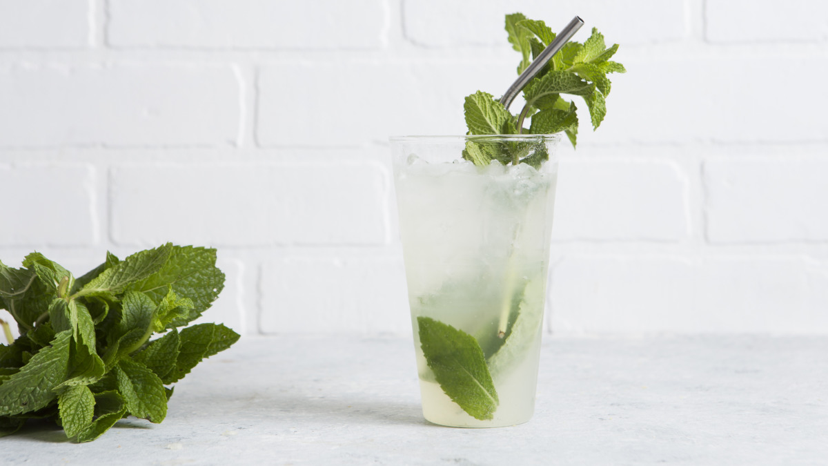 Mojito basic sale